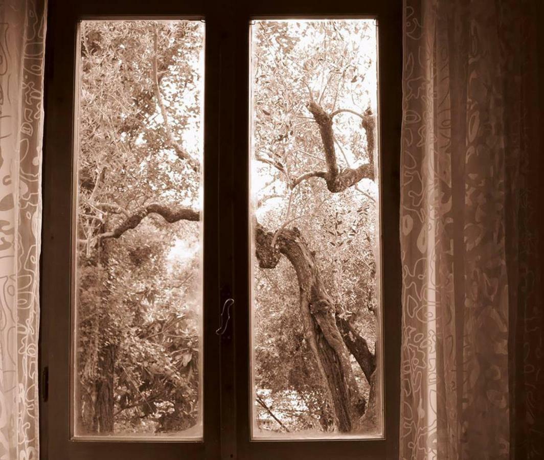 Argentella House Villa Palombara Sabina Dış mekan fotoğraf