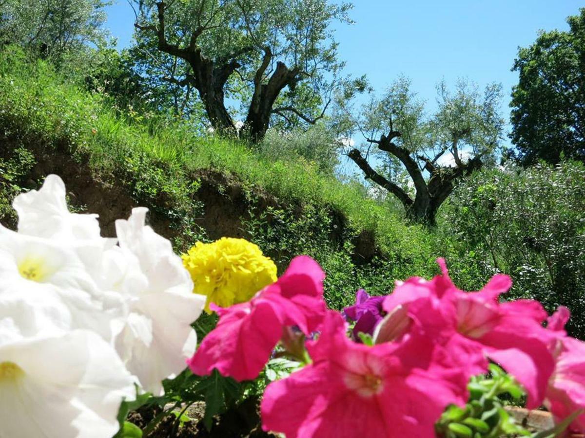 Argentella House Villa Palombara Sabina Dış mekan fotoğraf